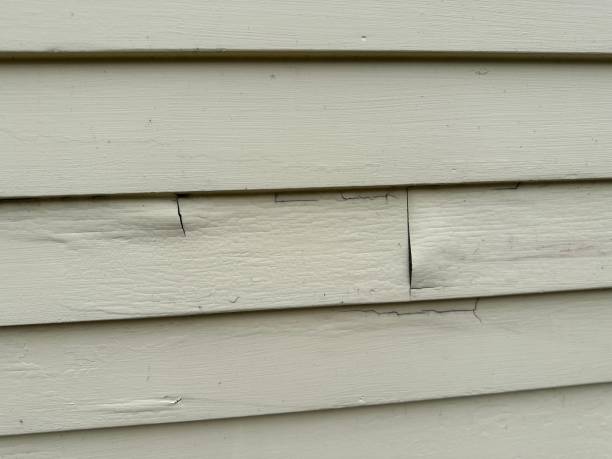 Best Custom Siding Design  in Hutto, TX